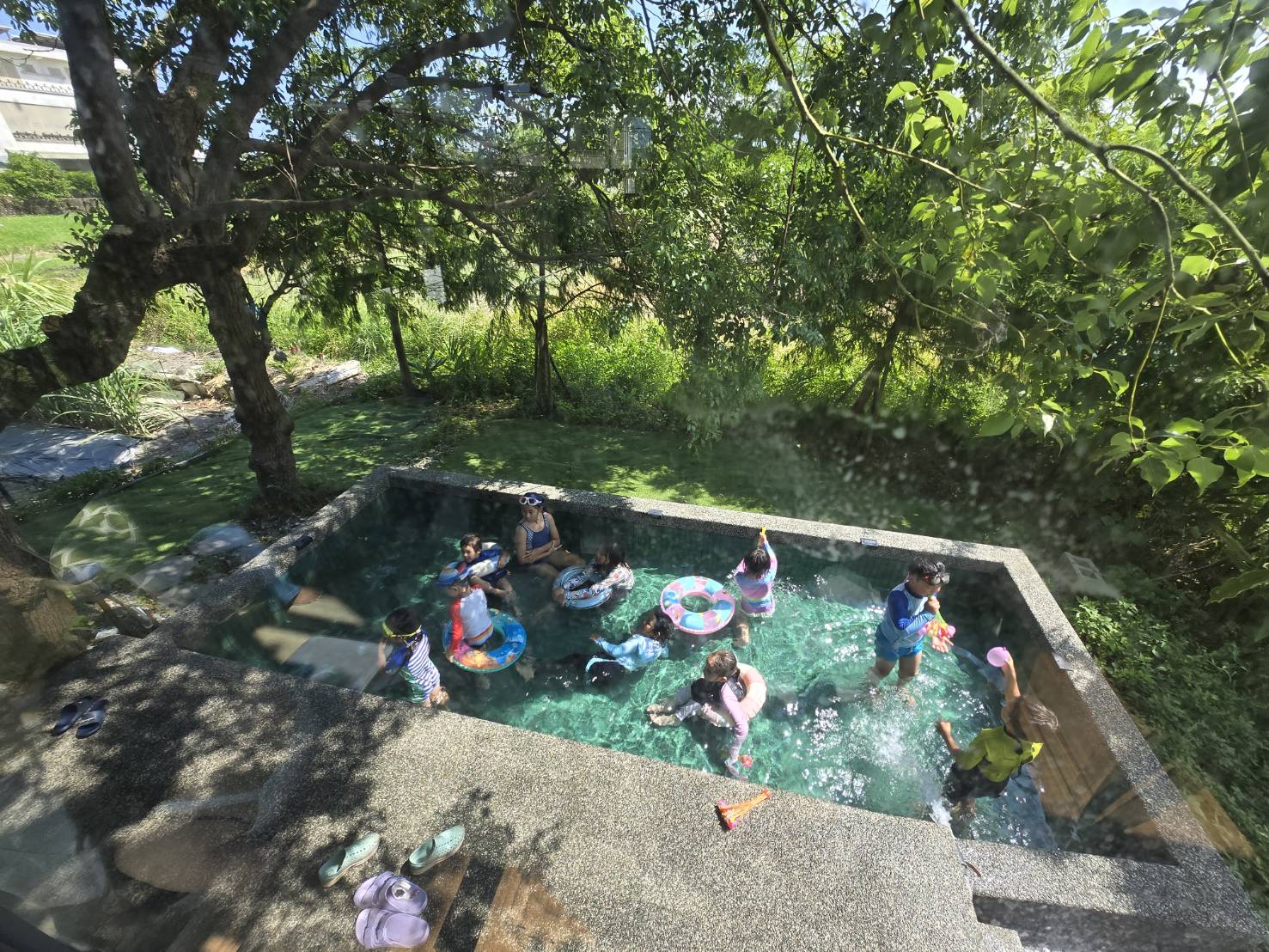 綠意大樹下的戶外戲水池